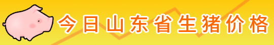山東生豬報(bào)價(jià) 今日山東生豬價(jià)格